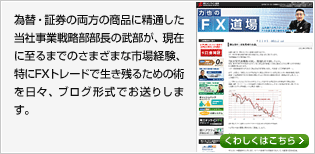 為替・証券の両方の商品に精通した当社事業戦略部部長の武部が、現在に至るまでのさまざまな市場経験、特にFXトレードで生き残るための術を日々、ブログ形式でお送りします。