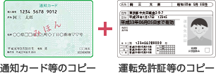 通知カード等のコピー/運転免許証等のコピー