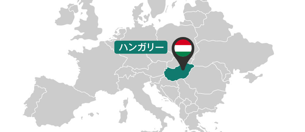 ハンガリーに国旗のピンが刺さっている地図