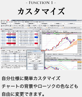 FUNCTION1 カスタマイズ