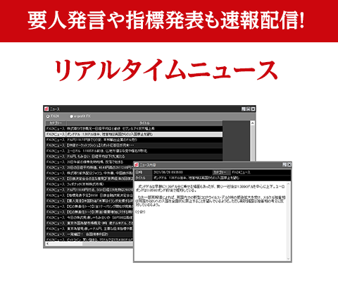動画コンテンツ